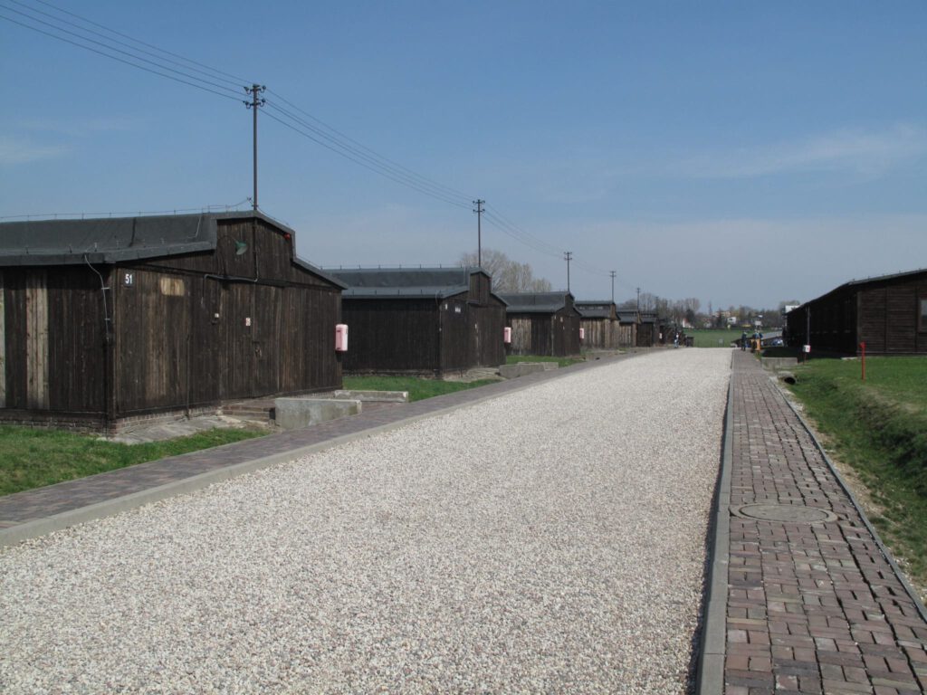 Road in Majdanek