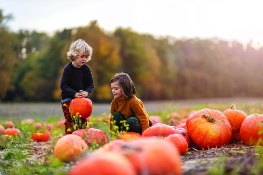 Kids in a pumpkin patch