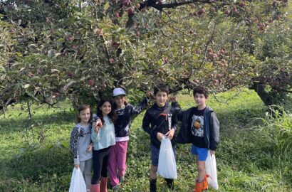 Kids picking apples