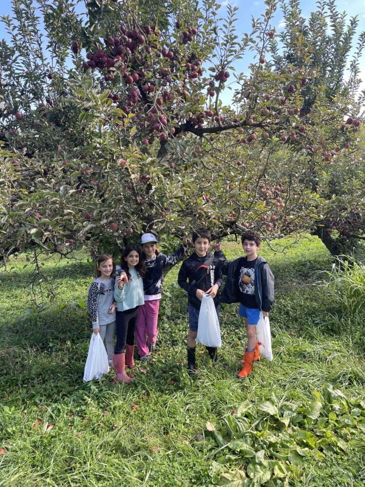 Kids picking apples