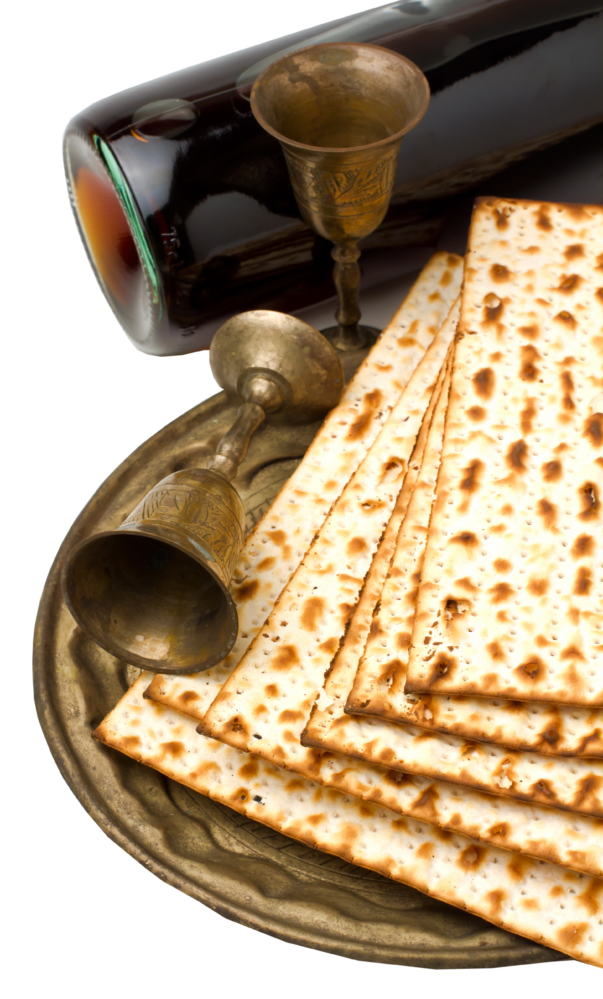 Passover Seder