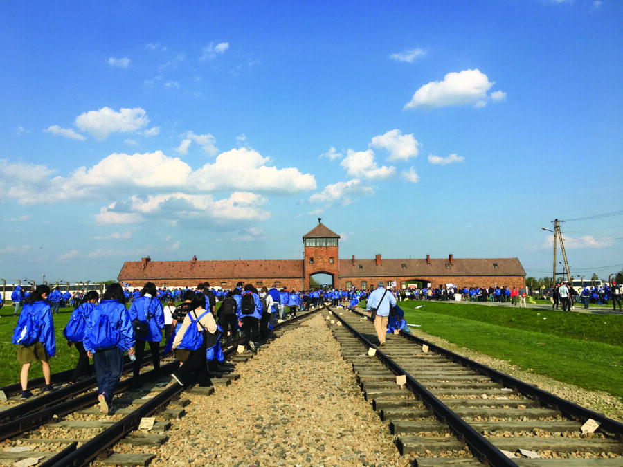 Image of Auschwitz-Birkenau
