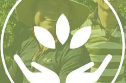 Hands lifting leaves